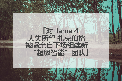 对Llama 4大失所望 扎克伯格被曝亲自下场组建新“超级智能”团队