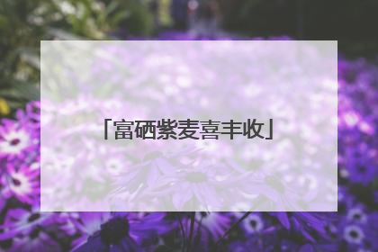 富硒紫麦喜丰收