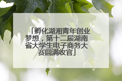 孵化湖湘青年创业梦想，第十二届湖南省大学生电子商务大赛圆满收官