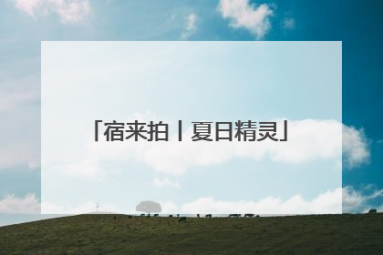 宿来拍丨夏日精灵