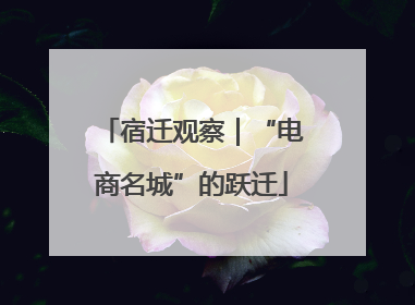 宿迁观察｜“电商名城”的跃迁