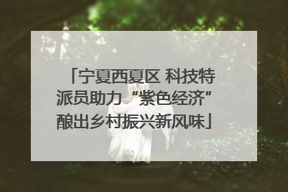宁夏西夏区 科技特派员助力“紫色经济”酿出乡村振兴新风味