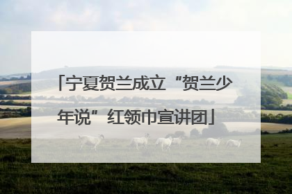 宁夏贺兰成立“贺兰少年说”红领巾宣讲团
