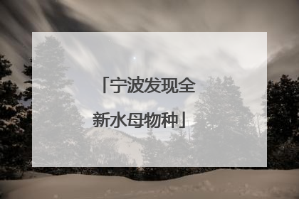 宁波发现全新水母物种