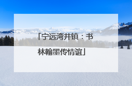 宁远湾井镇：书林翰墨传情谊
