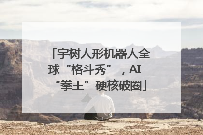 宇树人形机器人全球“格斗秀”，AI“拳王”硬核破圈