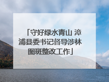 守好绿水青山 漳浦县委书记督导涉林图斑整改工作