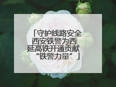 守护线路安全 西安铁警为西延高铁开通贡献“铁警力量”