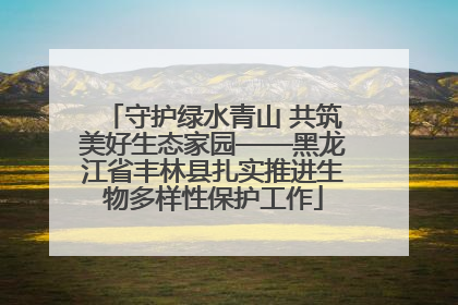 守护绿水青山 共筑美好生态家园——黑龙江省丰林县扎实推进生物多样性保护工作