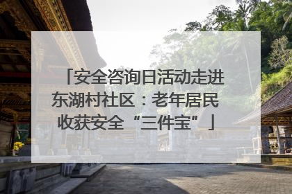 安全咨询日活动走进东湖村社区：老年居民收获安全“三件宝”