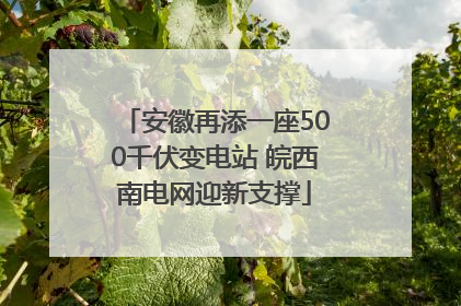 安徽再添一座500千伏变电站 皖西南电网迎新支撑