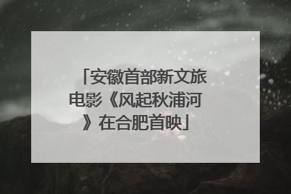 安徽首部新文旅电影《风起秋浦河》在合肥首映