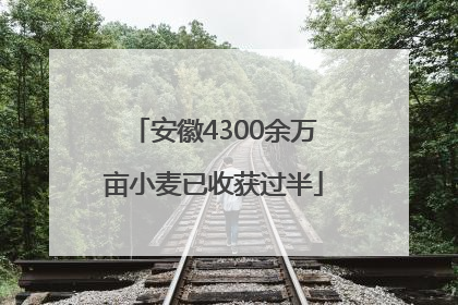 安徽4300余万亩小麦已收获过半