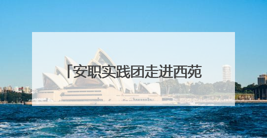 安职实践团走进西苑社区：解码六尺巷工作法的温情治理之道