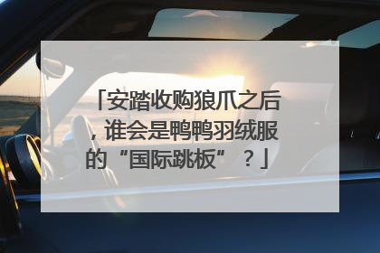 安踏收购狼爪之后，谁会是鸭鸭羽绒服的“国际跳板”？