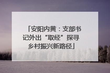 安阳内黄：支部书记外出“取经”探寻乡村振兴新路径