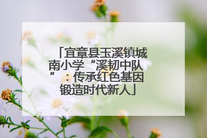 宜章县玉溪镇城南小学“溪韧中队”：传承红色基因 锻造时代新人