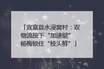 宜章县水浸窝村：双物流按下“加速键” 杨梅锁住“枝头鲜”
