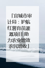 宜城市审计局：护航红薯育苗灌溉项目 助力农业增效农民增收