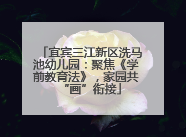 宜宾三江新区洗马池幼儿园：聚焦《学前教育法》，家园共“画”衔接