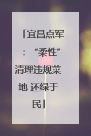 宜昌点军：“柔性”清理违规菜地 还绿于民
