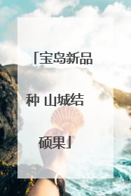 宝岛新品种 山城结硕果