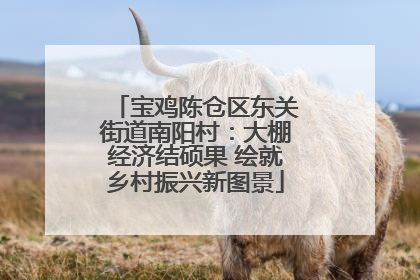 宝鸡陈仓区东关街道南阳村：大棚经济结硕果 绘就乡村振兴新图景
