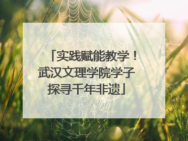 实践赋能教学！武汉文理学院学子探寻千年非遗