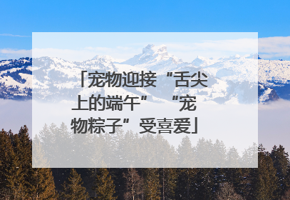 宠物迎接“舌尖上的端午” “宠物粽子”受喜爱