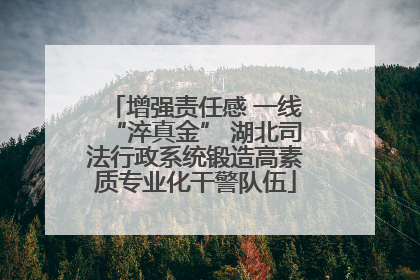 增强责任感 一线“淬真金” 湖北司法行政系统锻造高素质专业化干警队伍