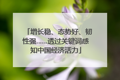 增长稳、态势好、韧性强……透过关键词感知中国经济活力