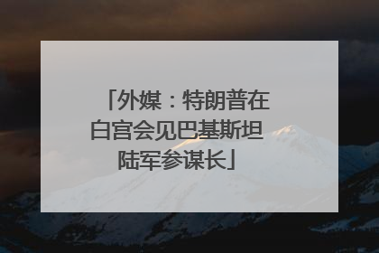 外媒：特朗普在白宫会见巴基斯坦陆军参谋长