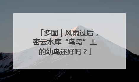 多图｜风雨过后，密云水库“鸟岛”上的幼鸟还好吗？