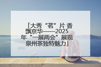 大秀“茗”片 香飘京华——2025年“一展两会”展现泉州茶独特魅力