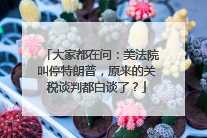 大家都在问：美法院叫停特朗普，原来的关税谈判都白谈了？
