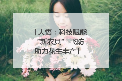 大悟：科技赋能“新农具” 飞防助力花生丰产