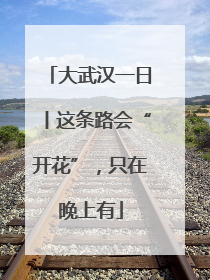 大武汉一日丨这条路会“开花”，只在晚上有
