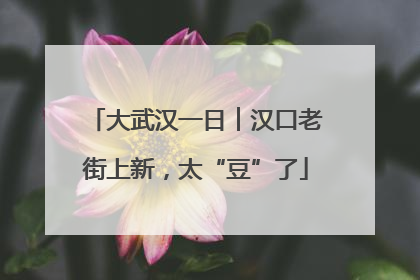 大武汉一日︱汉口老街上新，太“豆”了