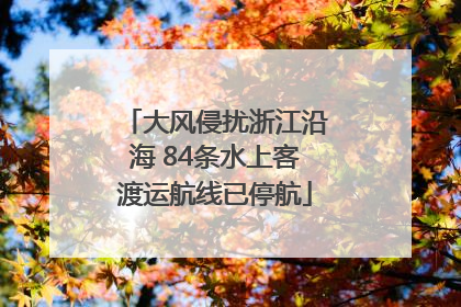 大风侵扰浙江沿海 84条水上客渡运航线已停航