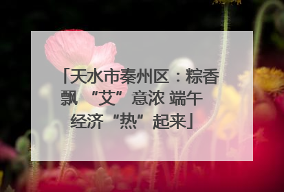 天水市秦州区：粽香飘 “艾”意浓 端午经济“热”起来