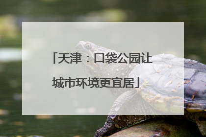 天津：口袋公园让城市环境更宜居