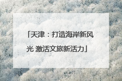 天津：打造海岸新风光 激活文旅新活力