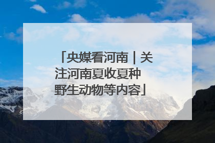 央媒看河南｜关注河南夏收夏种 野生动物等内容