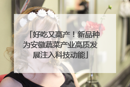 好吃又高产！新品种为安徽蔬菜产业高质发展注入科技动能