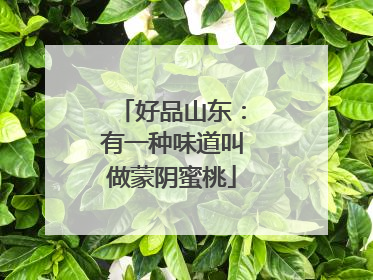 好品山东：有一种味道叫做蒙阴蜜桃