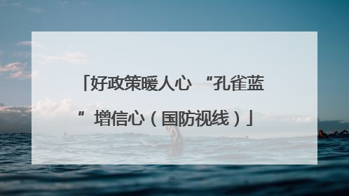 好政策暖人心 “孔雀蓝”增信心（国防视线）