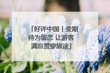 好评中国丨变期待为留恋 让游客满意贯穿旅途