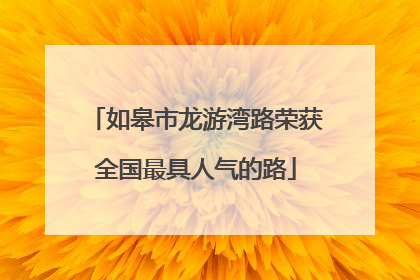 如皋市龙游湾路荣获全国最具人气的路