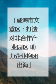 威海市文登区：打造对非合作产业园区 助力企业抱团出海