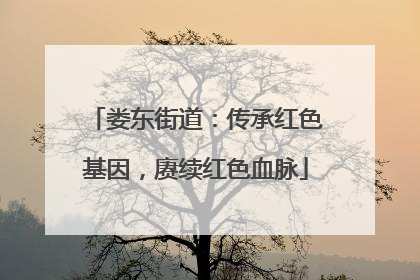 娄东街道：传承红色基因，赓续红色血脉
